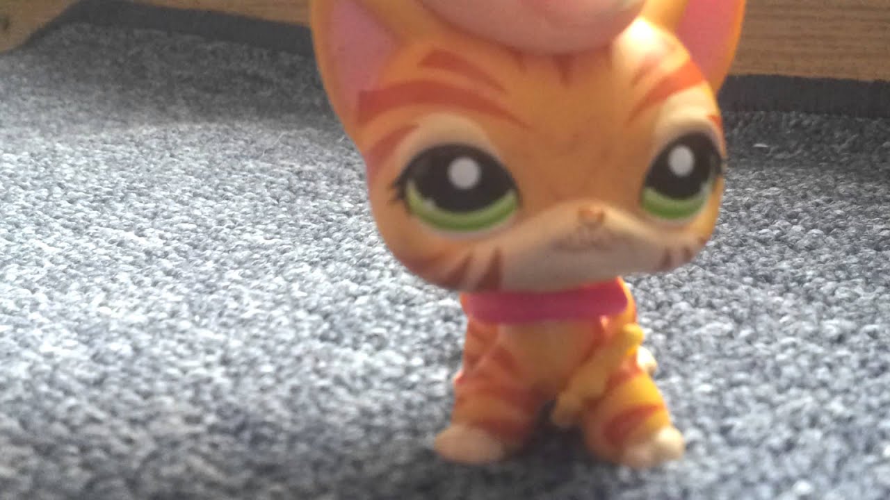LPS Contest (Open)
