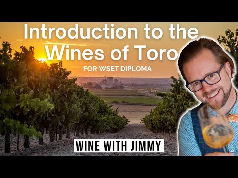 The History, Climate and Grapegrowing of the Wines of Toro, Spain for WSET Level 4 (Diploma)