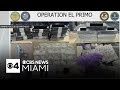 At Least 20 Arrested For Miami Murder For Hire Plot Trafficking Cocaine 