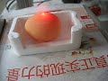CO2 laser marking machine marking on eggs