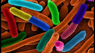 Viruses Documentary 2017 - Virus, el origen documental