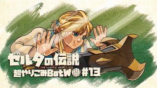 見てるだけで効果があるんです｜すべてを越えた超やりこみBotW #13