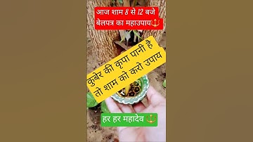 4 अगस्त 🕉 सोमवार शाम 8 से12 मिनट पर एक दीपक बेलपत्र के पेड़ के पास, महाउपाय #upay​ #pradeepmishraji​