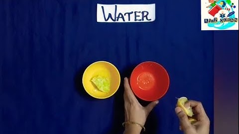 Our need for water & Where does water come from? | EVS | Std 3 | Kidz Ocean