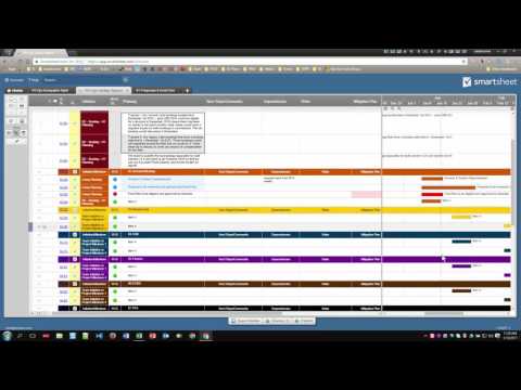 smartsheet-solution---team-&-project-reporting-template