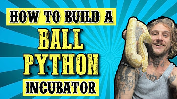 How to Make a Ball Python Incubator Step by Step