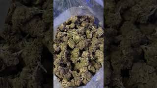 THCA Pounds: Smalls vs Mediums vs Bigs | Wholesale Margin Mechanics (Documentary)