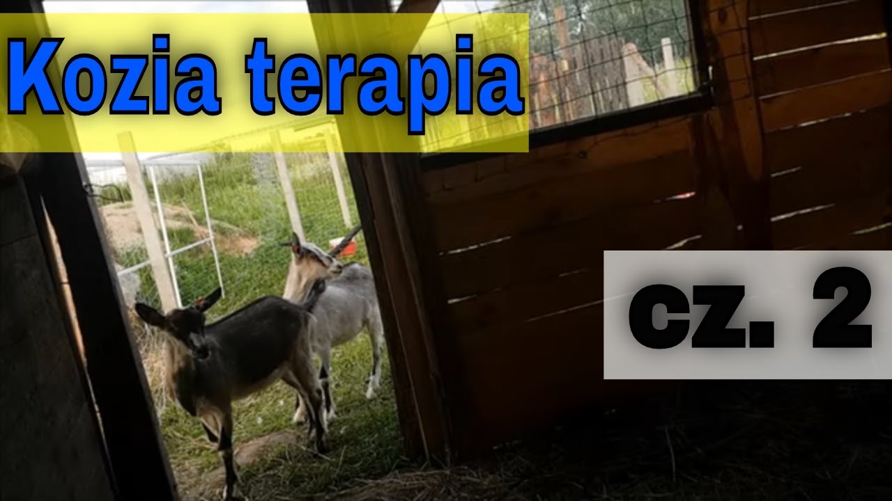 Kozia terapia. cz. 2  