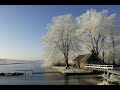 De zoektocht van de natuurfotograaf    film van tom blom