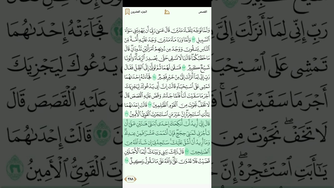 سورة القصص للقارئ مصطفي رعد الغزاوي 1080