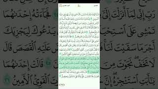 سورة القصص للقارئ مصطفي رعد الغزاوي 1080