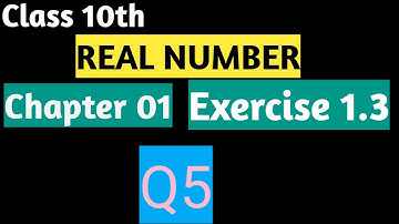 chapter 1 real numbers maths class 10 exercise 1.3| ncert math Q3(III)
