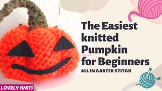 Details Easiest Knitted Pumpkin for all beginners Guide