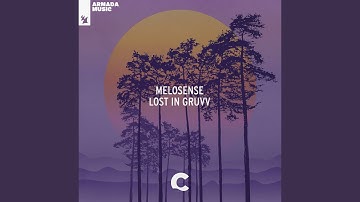 Lost In Gruvv (Extended Mix)