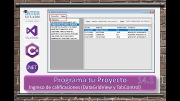 Visual C# 14-1. DataGridView captura y validación de celdas y formulario ordenado por un TabControl