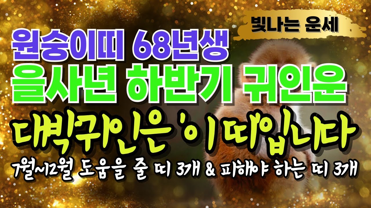 68년생 원숭이띠 2025년 운세 하반기 귀인운🎊'이 띠' 3가지 천을귀인입니다 상극인 띠 '3가지' 무신년 68년생 운세 무신생 원숭이띠🤗말년운 1968년생 재물운 을사년 하반기