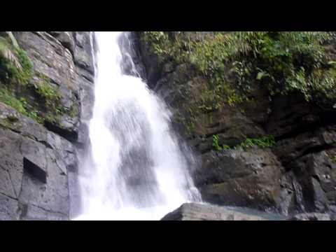 El Yungue Rainforest 13