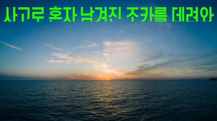 사고로 혼자 남게 된 조카를 10년 넘게 힘들게 의사로 키웠지만, 사돈이 나타나서 조카를 완전히 데려갔습니다. 그 배신에 대한 분노가 치솟는 순간, 조카의 한 마디에 눈물이 쏟아…