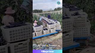 This Eggplant Farms Got A Mini Train & Its So Cool