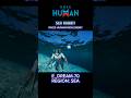 Once Human | New Enemy Sea Rabbit #oncehuman #ugc #openworld