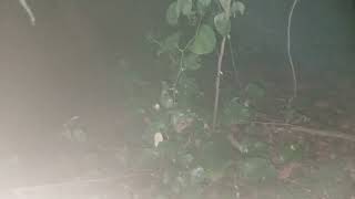 20260729 044655773