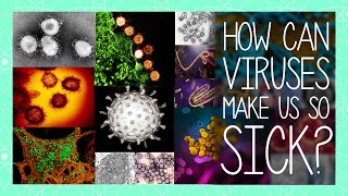 How can VIRUSES make us so SICK?
