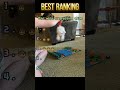 Small in size but very energetic dog #funny #funnyvideo #fyp #foryou #dog #dogvideos #funnytiktok