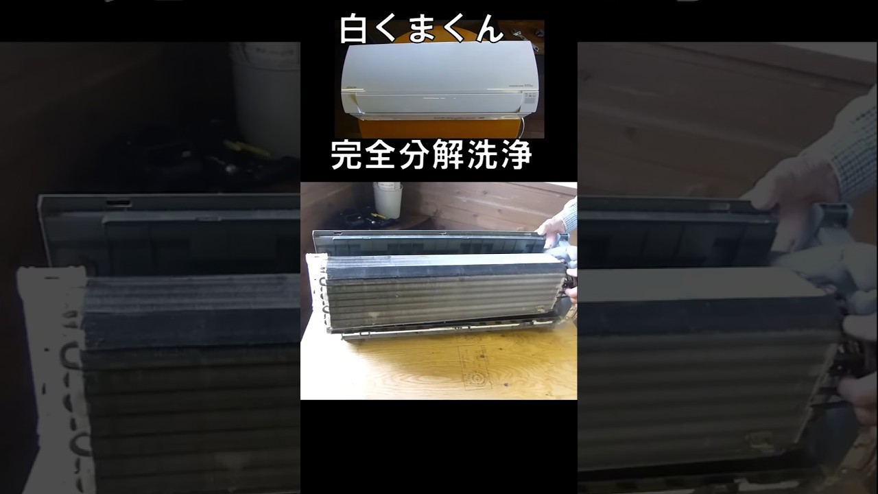白くま君?2019年式?6畳用?完全分解洗浄品✨