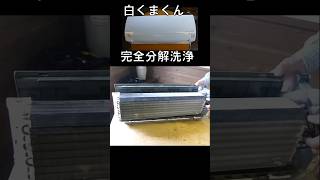 白くまくん完全分解洗浄#shorts#エアコンクリーニング