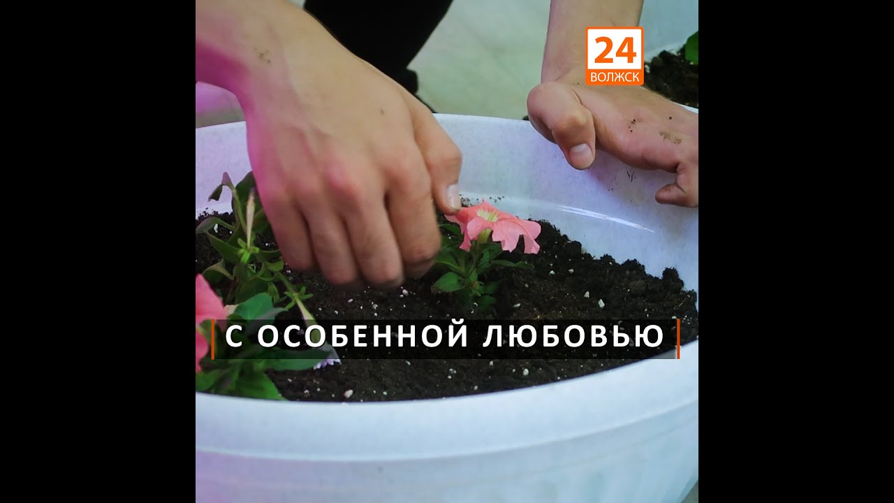 С особенной любовью - YouTube