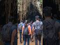 😱 रहस्यमई गुफा का ऐसा सच जो कोई नहीं जानता #youtubeshorts #amazonjungle #vairalshort