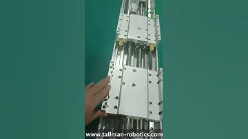Double Screw Rod Linear Module from Tallman Robotics Limited.