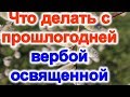 Что делать с прошлогодней вербой освященной