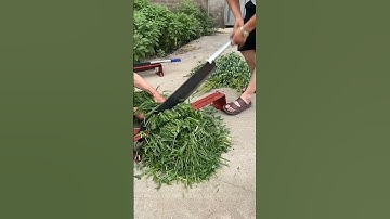 Grass Cutting Process - Goodtools and machinery make work easy
