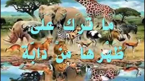 { ولو يؤاخذ الله الناس بظلمهم ما ترك عليها من دابة }  تلاوة الشيخ سعد الغامدي حفظه الله