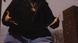 Fat Joe - Da Fat Gangsta - 90s Hip Hop LYRICS