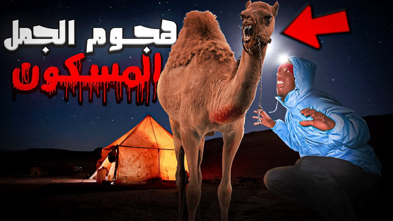 أول يوم : في مدينة داخلة ⛺️ متخيلوش  أشنو خرج لينا في ليلل🌚 جمل 🐪مسكون ..؟؟😱