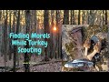 Finding Black Morels While Scouting for Wild Turkeys