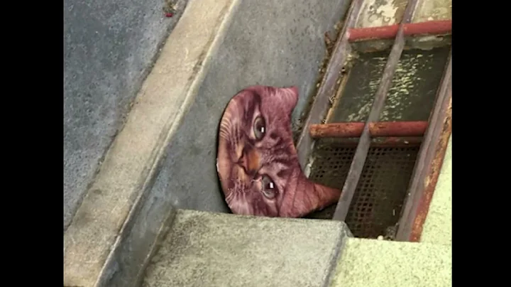 Clara La San - Let You Go (Astra G Remix)