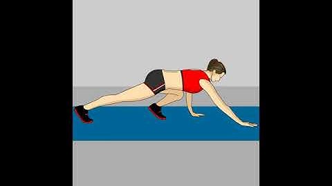 Bear crawls exercise demonstration