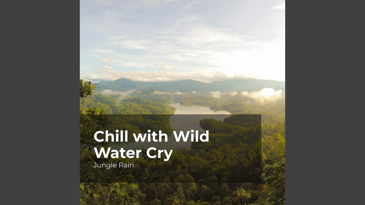 Jungle Rain Humidity