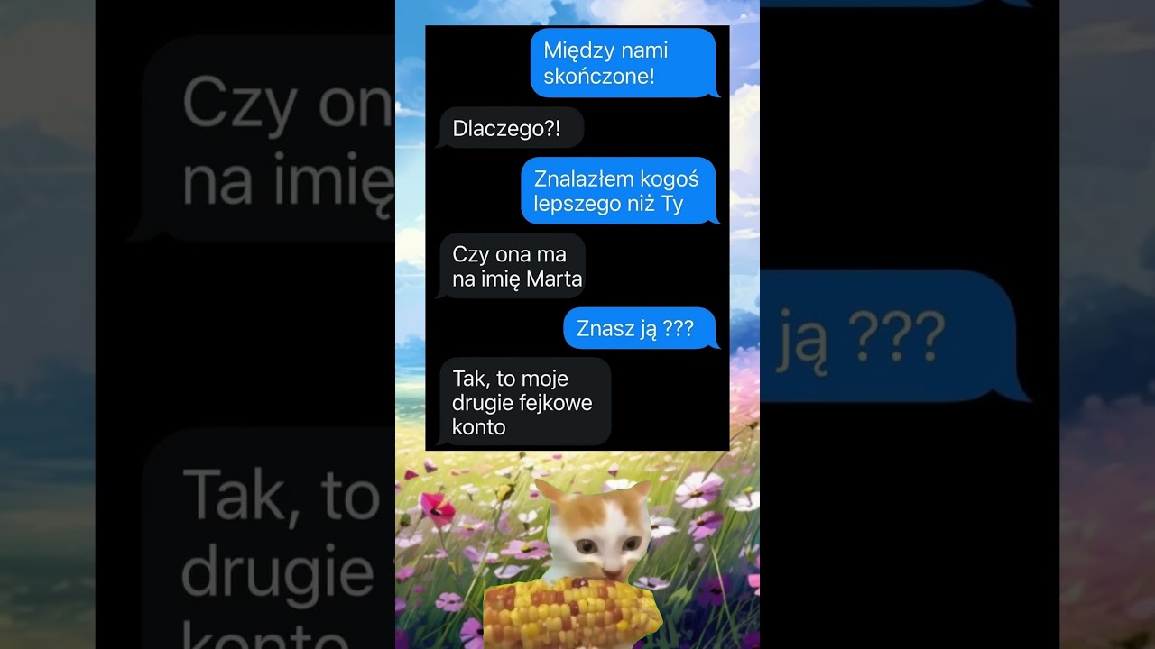 #shorts #memes #memy #messenger #chat #dialog #śmieszne #humor