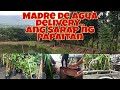 Madre de agua deliveries at Kain tayo sa Kambingan... #81