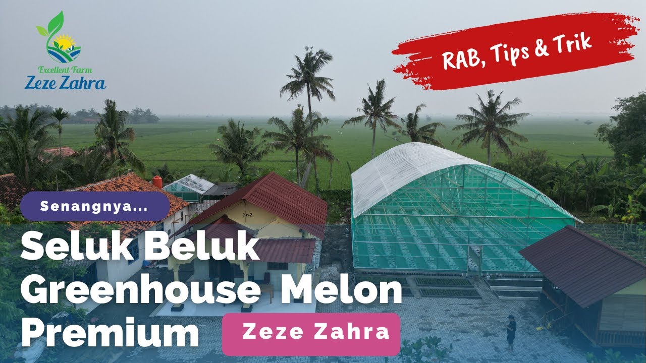 Seluk Beluk Greenhouse Melon, Anggaran Biaya (RAB) & Detail Persiapan