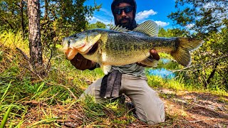 Finding Fish in the Woods…