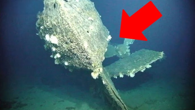 The Wreck of USS Scorpion - Twisted and Shattered On The Bottom - YouTube