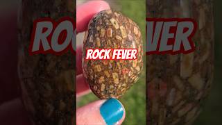 More recent finds #rockhounding #Michigan #rocks #fossil