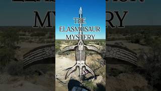 Dinosaur Fossil Hunt – Series 2 Day 1 | Epic Underground Dino Fight &amp; Bite! 🦖 #metaldetecting