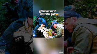 यह कुत्ता अकेले दुश्मनों को धूल चटा दिया 😨