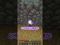 謎の隙間に入ったら...【マインクラフト】#shorts
